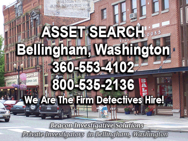 Bellingham Washington Asset Search