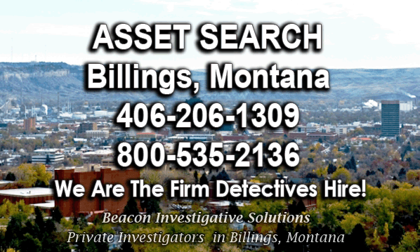 Billings Montana Asset Search