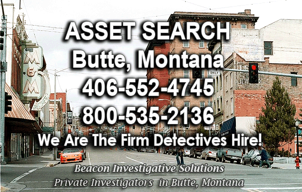 Butte Montana Asset Search