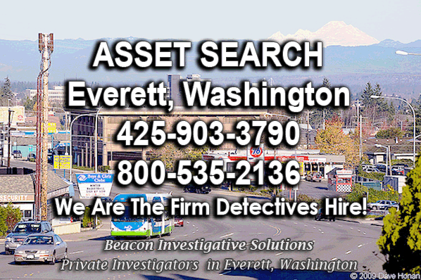 Everett Washington Asset Search
