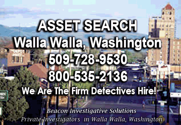 Walla Walla Washington Asset Search