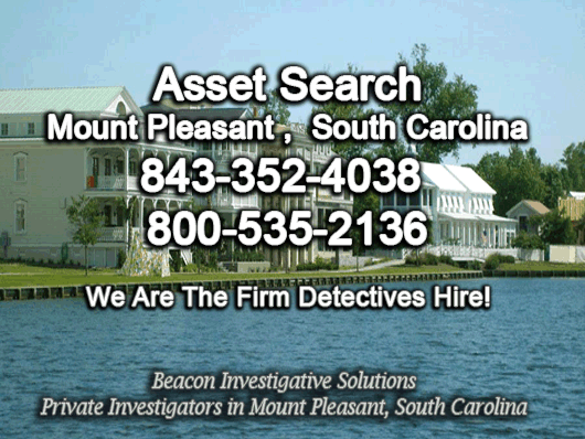 Mount Pleasant South Carolina Asset Search