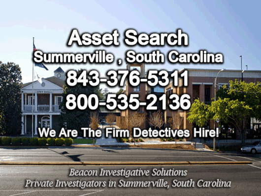 Summerville South Carolina Asset Search