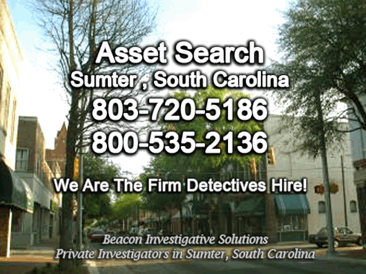 Sumter South Carolina Asset Search