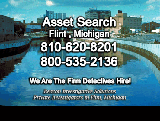 Flint Michigan Asset Search