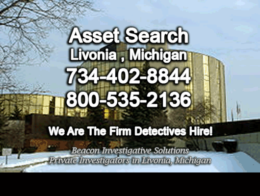 Livonia Michigan Asset Search