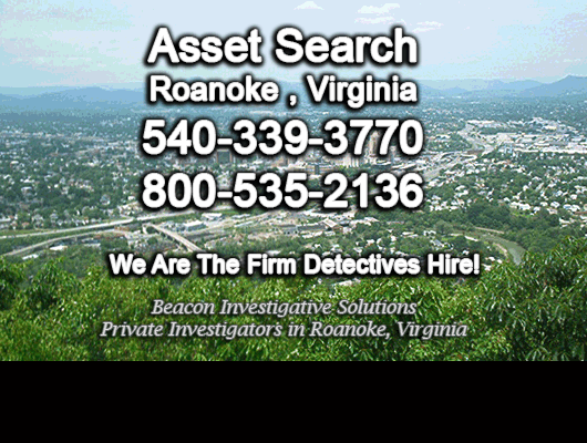 Roanoke Virginia Asset Search