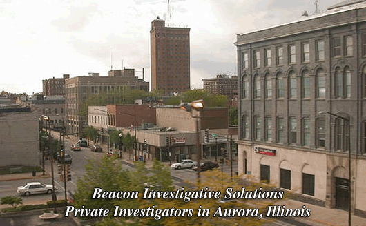 Aurora Illinois Asset Search