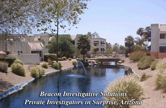 Surprise Arizona Asset Search