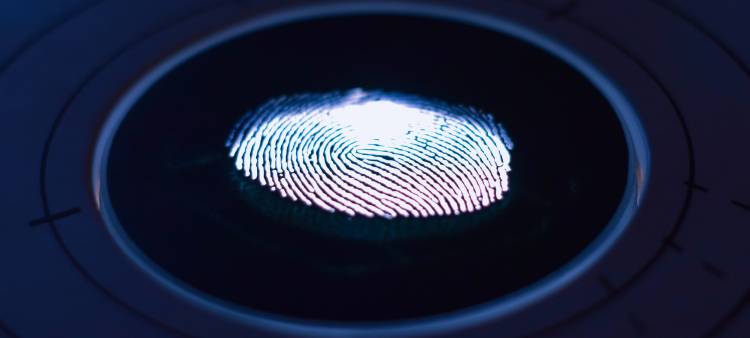 Dna fingerprint